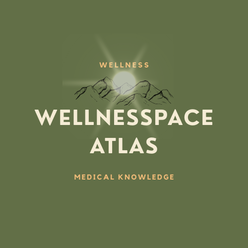 wellnesspaceatlas.com